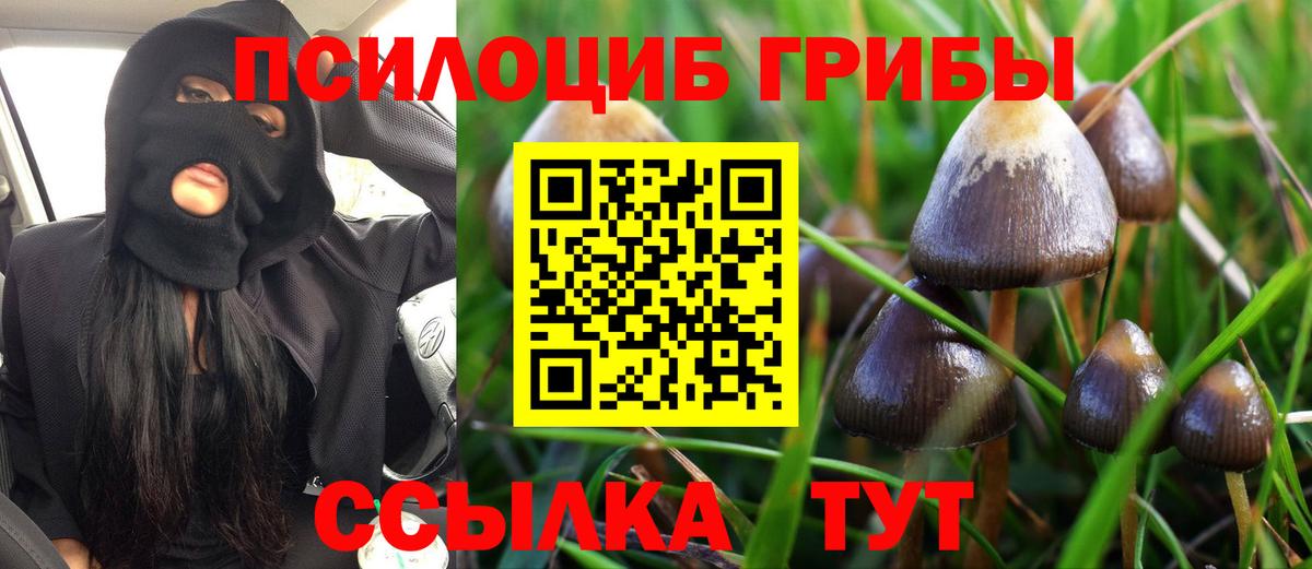 Кстово  Галлюциногенные грибы Cubensis  Вход с VPN 